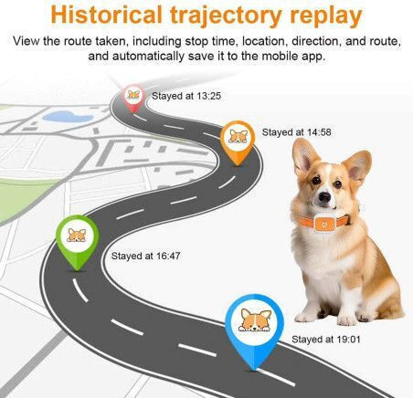G01 Electric GPS Dog Collar