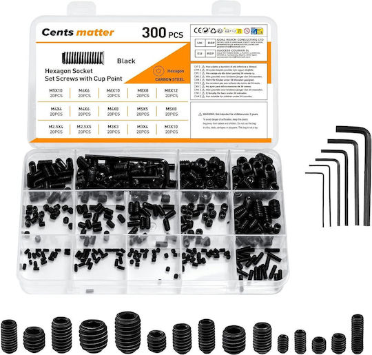 Şurub Fără Cap 300 Bucăţi Hex Socket