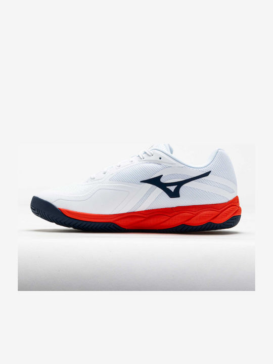 Mizuno
