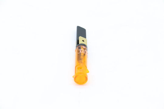 Steam Orange Pilot Lamp #24