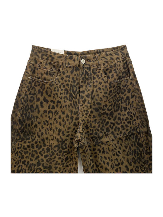 Women's Jean Pants in Balloon Leg Style Brown