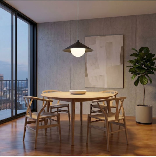 Emibig Black Pendant Ceiling Light
