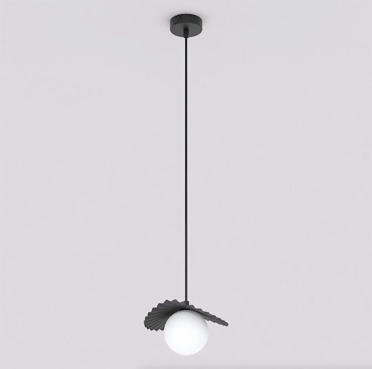 Emibig Black Pendant Ceiling Light