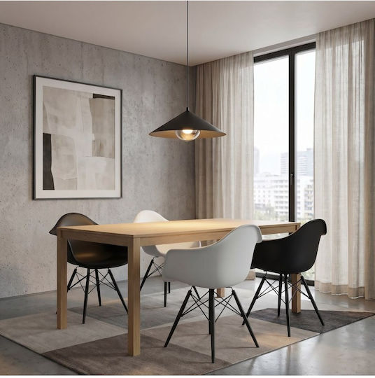 Emibig Black Pendant Ceiling Light