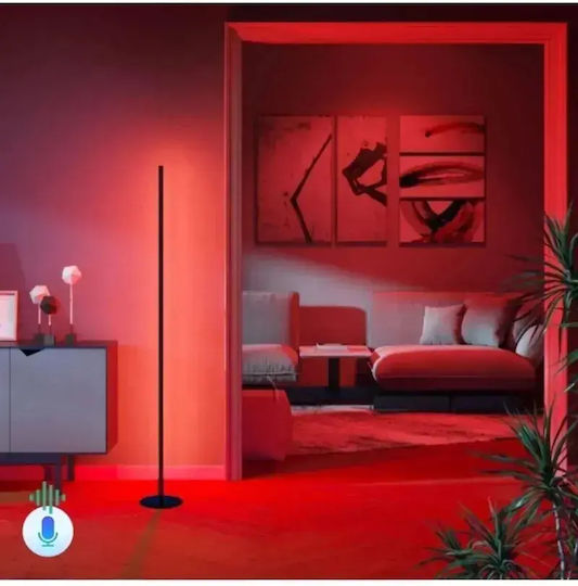 SteweHome Decorative Lighting RGB