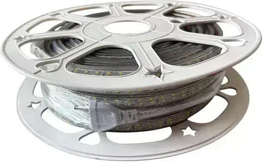 Prolutech Bandă LED Impermeabilă 220V Lumină Alb Natural 25m Tip SMD2835