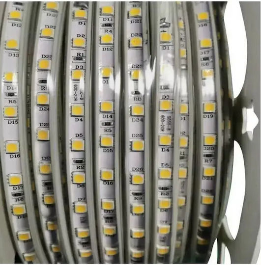 Prolutech Bandă LED Impermeabilă 220V Lumină Alb Natural 50m Tip SMD5050
