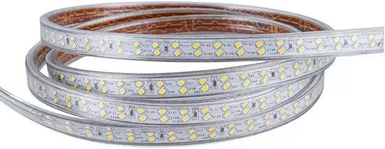 Prolutech Bandă LED Impermeabilă 220V Lumină Alb Natural 50m Tip SMD2835 cu Sursă de Alimentare