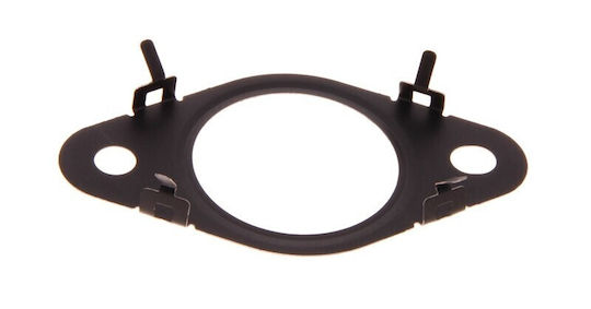 Egr Valve Gasket Fiat Ducato 14 2.2d 55281783