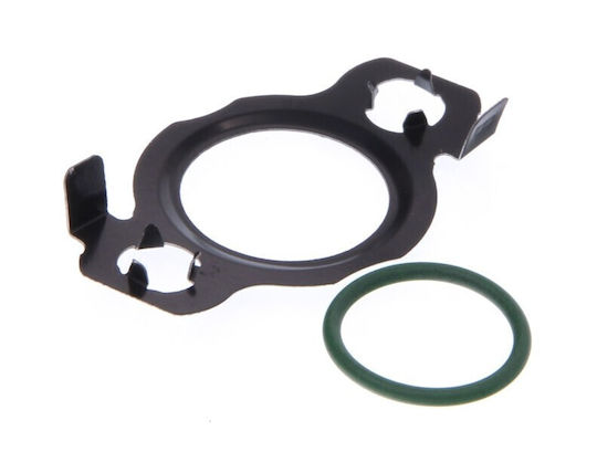 Egr Ventil Dichtung Fiat Jumper