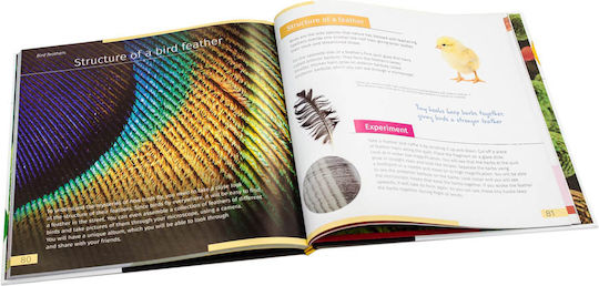 Invisible Buch Englisch