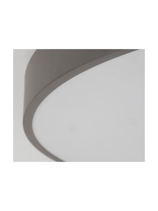 TK Lighting Таванно Осветително Тяло 50см с Интегриран LED TK Lighting Таванно Осветително Тяло 50см с Интегриран LED