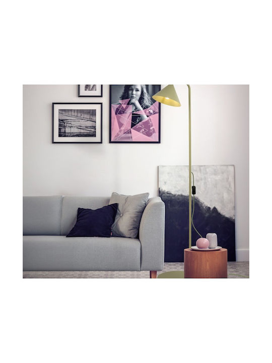 TK Lighting Floor Lamp with E14 Lamp Base