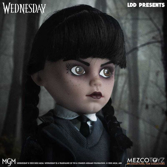 Wednesday Основа