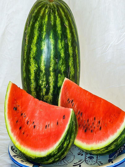 Watermelon Crimson Ruby F1 1000 Seeds