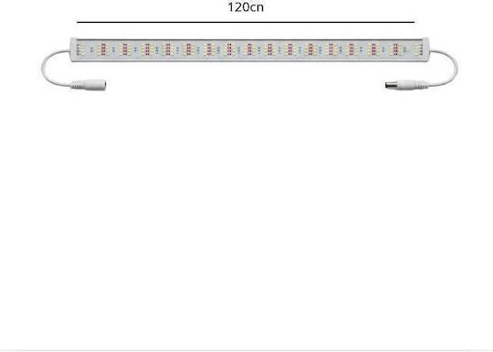 LED Strip 12V