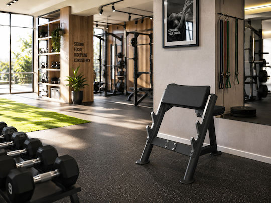 MegaFitness Workout-Bank Bizeps