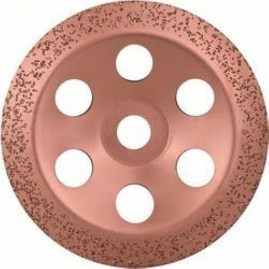 Bosch Schleifscheibe Baumaterialien 115mm Flusslandschaft