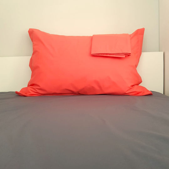 Kotonia Home 