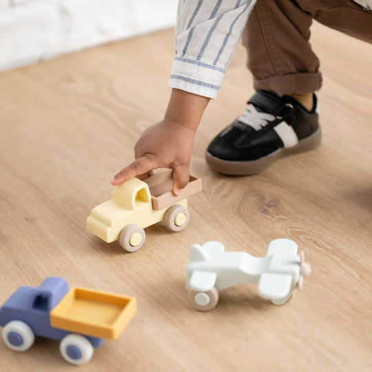 Nattou Vehicul din Silicon
