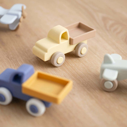 Nattou Vehicul din Silicon