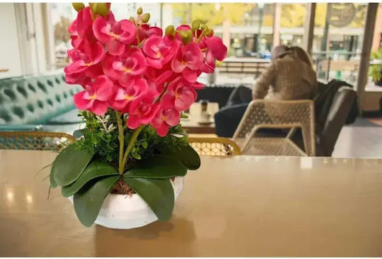 Stewehome Kleines Set Aus 6 Stück Weiße Luxuriöse Künstliche Orchidee Topfpflanze