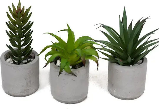 Stewehome Set 3 Bucăți Cactuși Artificiali Suculenti Modern Gri Vas Din Plastic