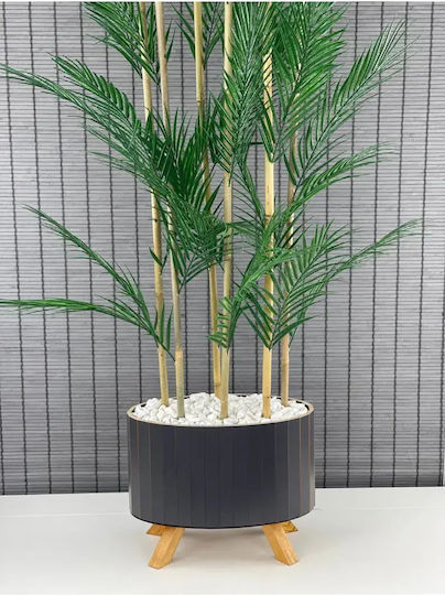 Stewehome Dekorative Topfpflanze Palmyra 6 Stämme Holz-elliptischer Basis Topf