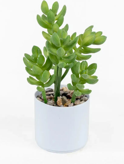 SteweHome Artificial Cactus Succulent White Potted Plant