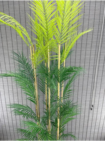 Stewehome Dekorative Topfpflanze Palmyra 6 Stämme Holz-elliptischer Basis Topf