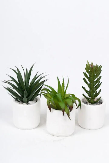 Stewehome Set of 3 Pieces Artificial Cacti Succulent Modern White Plastic Pot