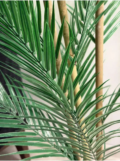 Stewehome Dekoratives Topfpflanze Areca-Palme Kunststofftopf 3 Stämme Stewehome Dekoratives Topfpflanze Areca-Palme Kunststofftopf 3 Stämme
