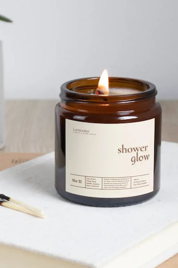 SteweHome Αρωματικό Σόγιας σε Βάζο Cotton