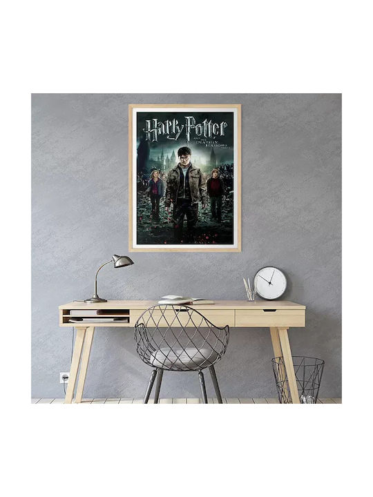 Harry Potter Deathly Hallows Part 2 Mv388 40cm X 50cm-71825pd159610