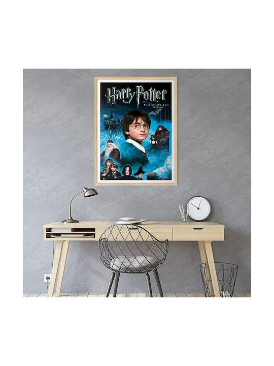 Poster Harry Potter Philosophers Stone Mv381 60cm X 90cm-71818pd159563