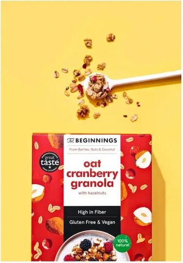 Müsli Hafer Cranberry 200g