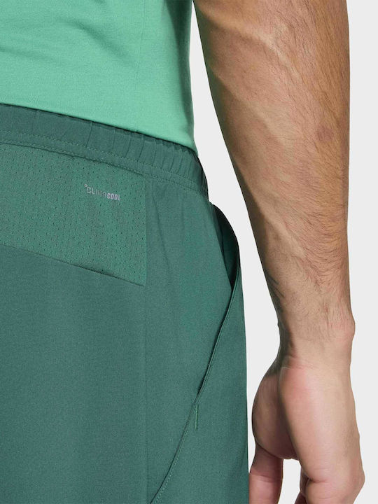 adidas Мъжки шорти Зелен