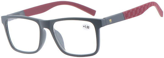 Cammello 6809 Oчила За Четене +4.50 Сив/Червен