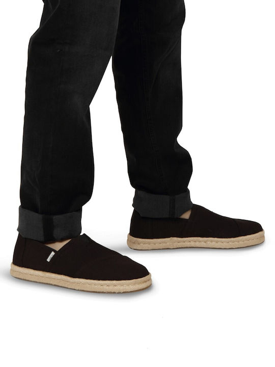 Toms Toms