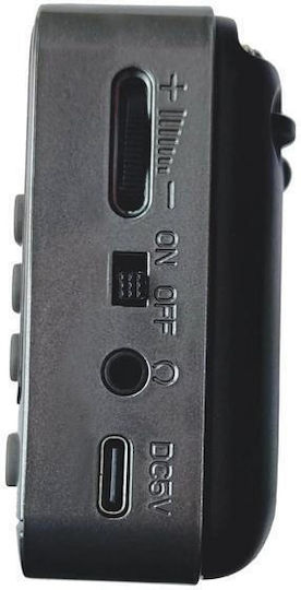 Technisat Портативно Радио на Батерии с Bluetooth и USB Черен