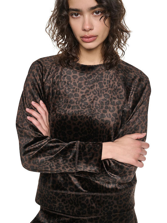 Damen Sweatshirt Braun