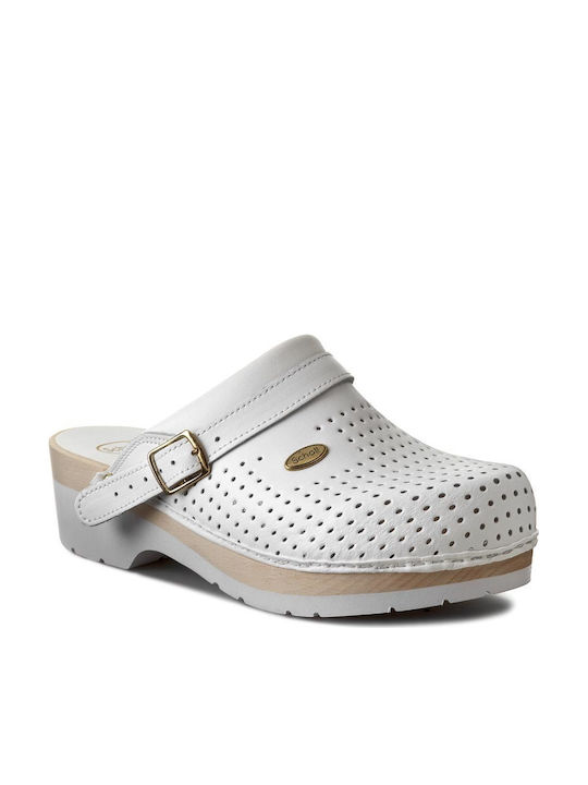 Scholl F200781