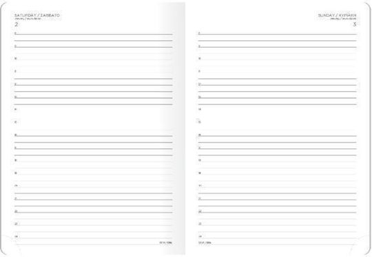 The Writing Fields Softline Tägliche Tagesordnung 2027 Braun 16.6x23.8cm