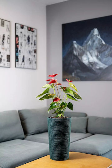 Adoni Kunststoff Blumentopf Grün 22x36cm Adoni Kunststoff Blumentopf Grün 22x36cm