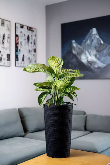 Adoni Kunststoff-Blumentopf Schwarz 28x47cm