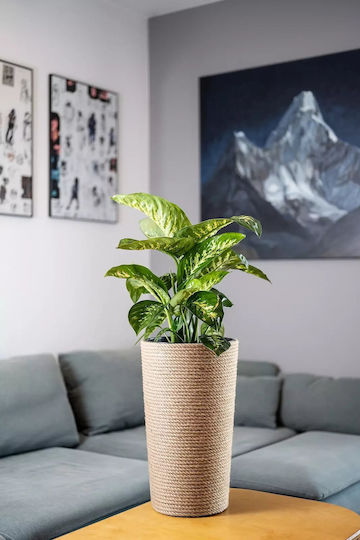 Adoni Kunststoff Blumentopf Juta 47x28x47cm