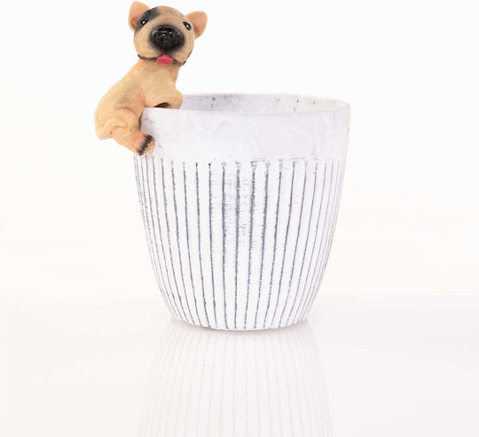 Progarden Pot Decorativ Din Plastic 9.5x9.5x5cm SP01_15971034