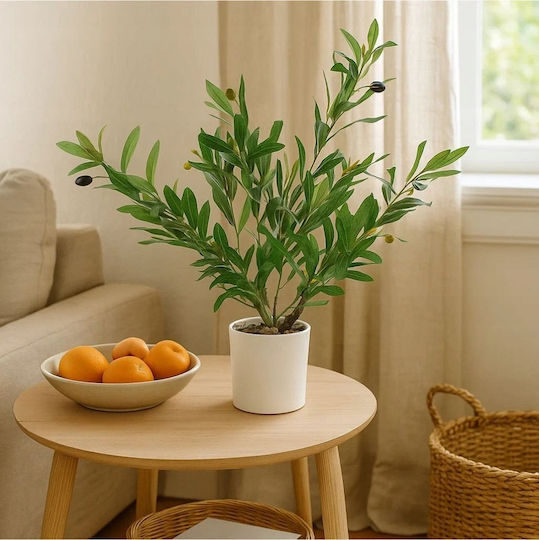 Olive Potted Plant 58cm (Various Designs) Ibergarden