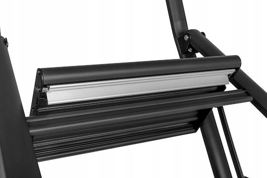 Wenko Aluminium-Leiter mit 2 Stufen