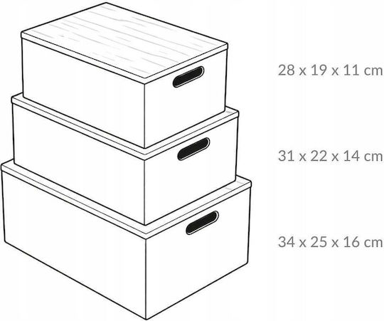 Edaxo Plastic Black Lunch Box